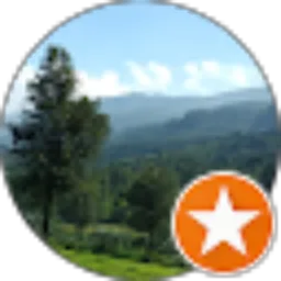 Review From Anthon Yohan