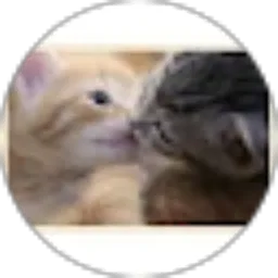 Review From Dian Wulandari