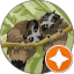 Review From Nurseto Seto
