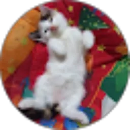 Review From Wahyuni Pardi