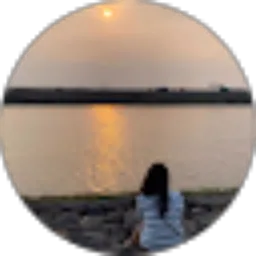 Review From Virginia Lin