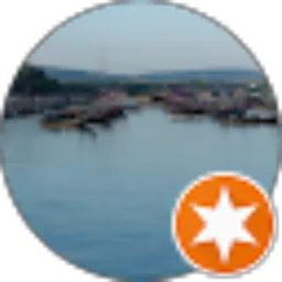 Review From Aris Purnomo