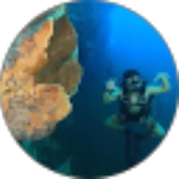 Review From ADYATMA YUDHA SUBRATA