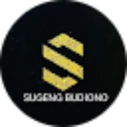 Review From Sugeng Budiono