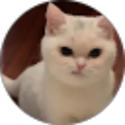 Review From Psithurism