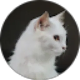 Review From Leny SiRa