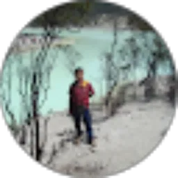 Review From Jonni Chen