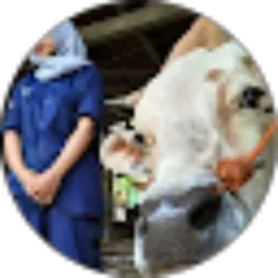 Review From Navisatul Munawaroh