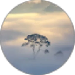 Review From Ahza Kamil