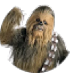 Review From Syahwal Fauzi