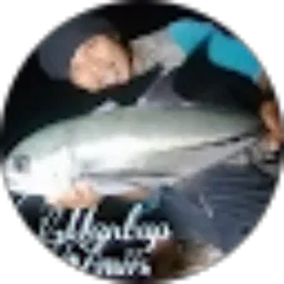 Review From ARLAN AMALU KULU KULU