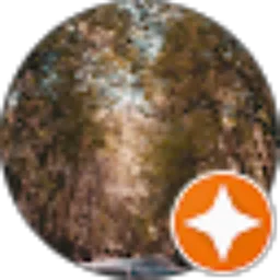 Review From faldy mahu