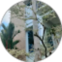 Review From Mery Eliyana