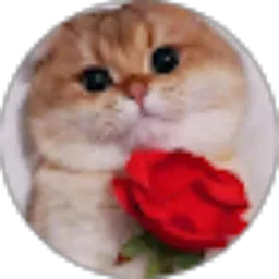 Review From maya raris