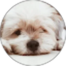 Review From gabriella yoan