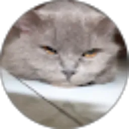 Review From Jeany Hanifa