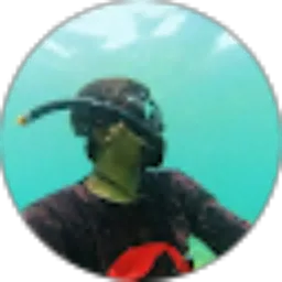 Review From D-03-Anak Agung Krido WS