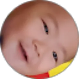 Review From Ivan Tri Putra