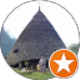 Review From Vidi P
