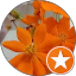 Review From Enny Teng