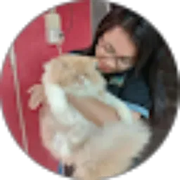 Review From Evi Cristi Lestari L.Toruan