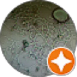 Review From Ani Fatonah