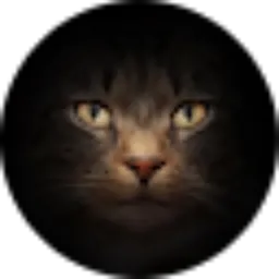 Review From Muhammad Ardiansyah Mulya