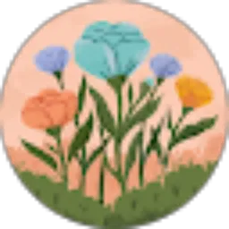 Review From Elsanov Elsanov