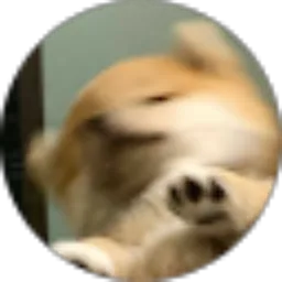 Review From Vincent Emmanuel