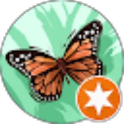 Review From Zakiatul Ula