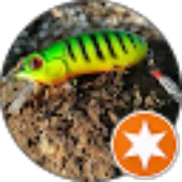 Review From Budi Bolang Fishing