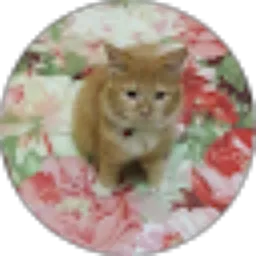 Review From Nurditha Oktariany