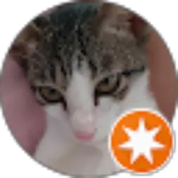 Review From Jennifer Tan