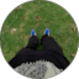 Review From Muslih Adi prasetyo