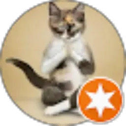 Review From Anindita TJ