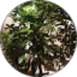 Review From Fitra Sri Susilowati