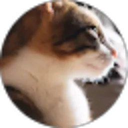 Review From jihan safira