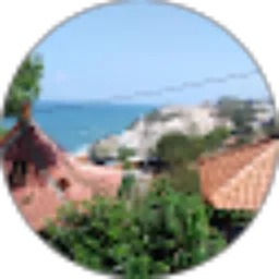 Review From azalea channel