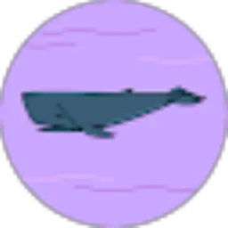 Review From Bang Acca