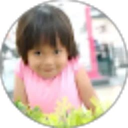 Review From Taufik Rahman