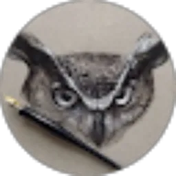 Review From gal gado