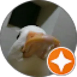 Review From Willy Prayoga