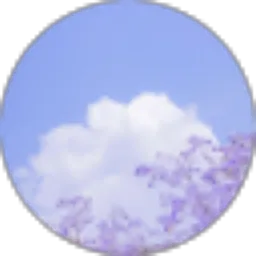 Review From Store Vinss