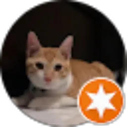 Review From dela dela