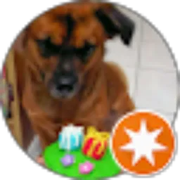 Review From Angel Ly