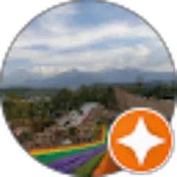 Review From Allicia Erviani