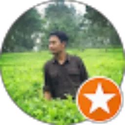 Review From Athief Fuady