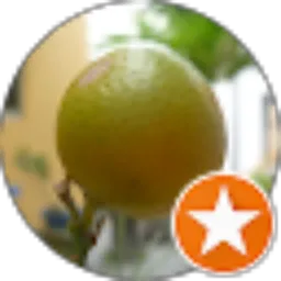 Review From Rudi Prasetio