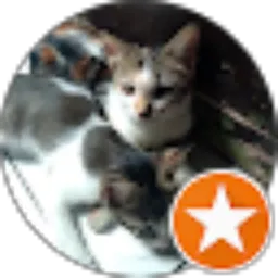 Review From Yeni Puspita Sari (Y.P.S)