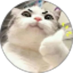 Review From Gian Karim